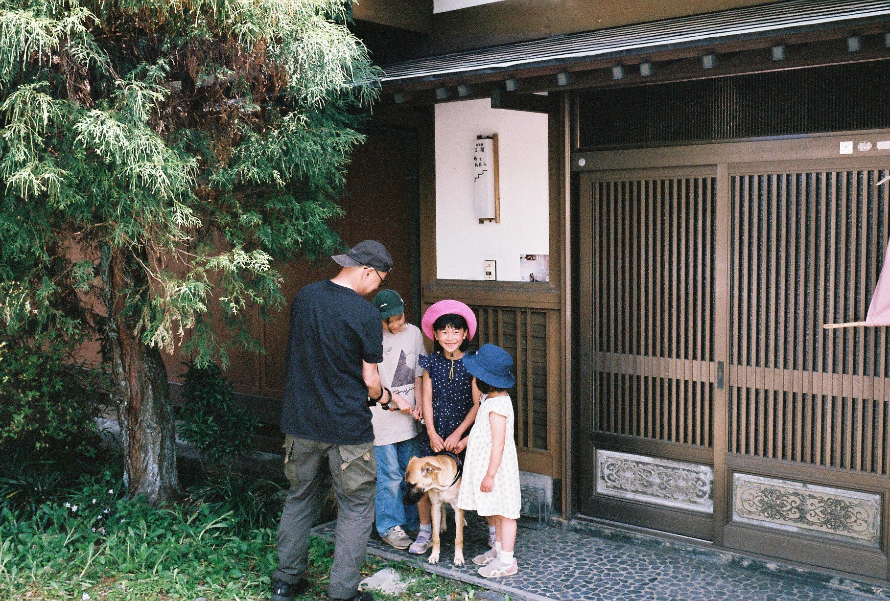 写真