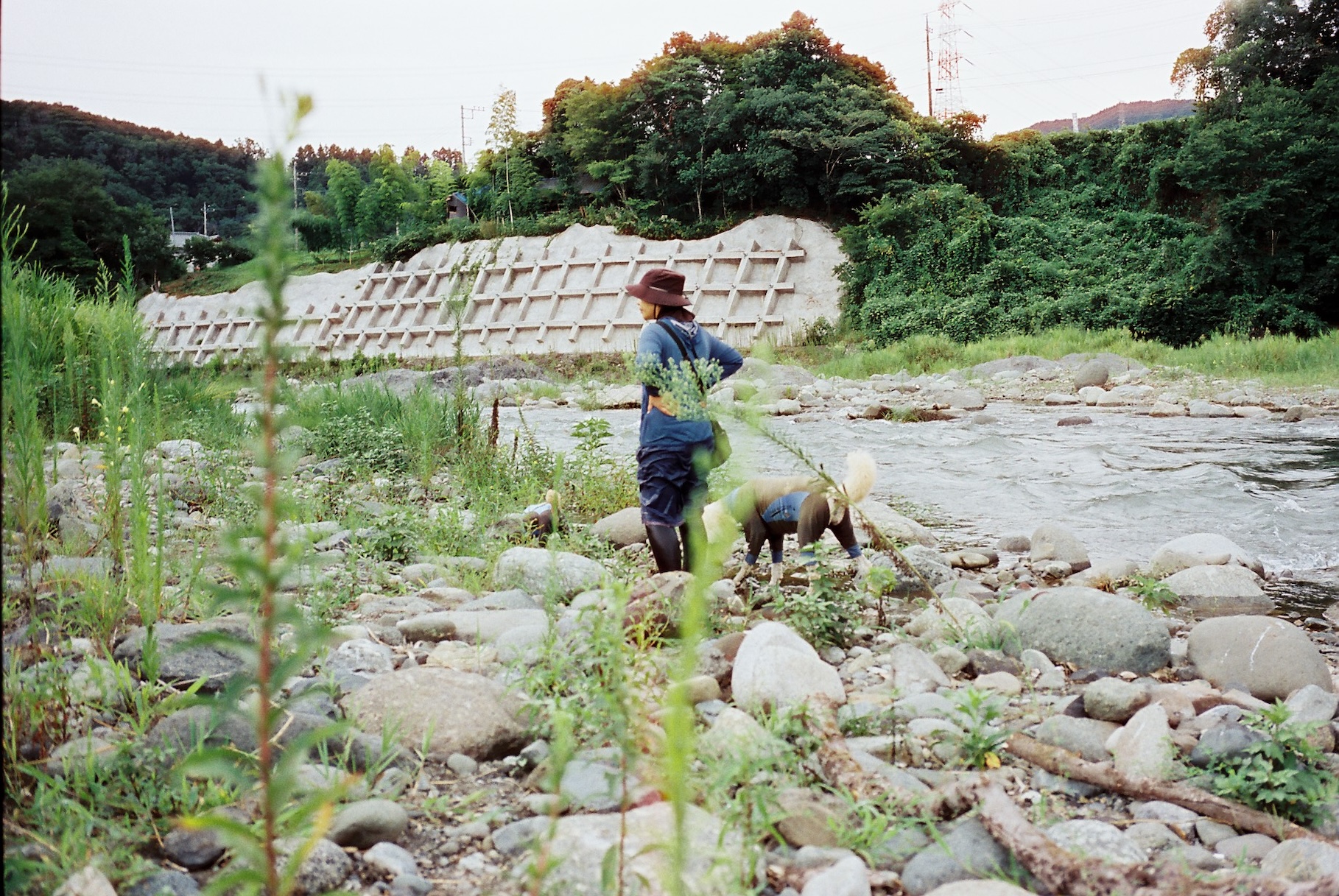 写真